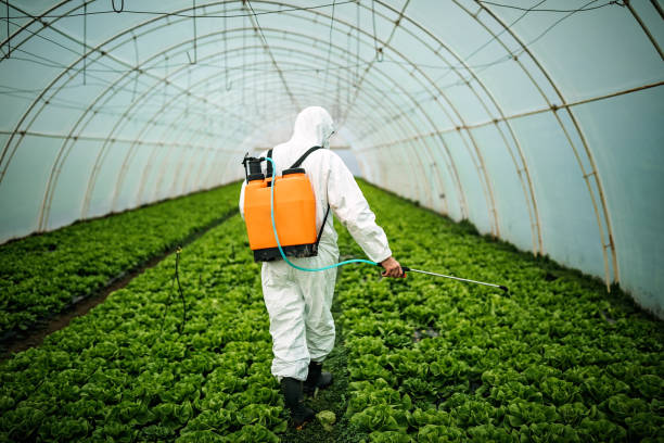 Best Residential Pest Control  in Farmington, UT