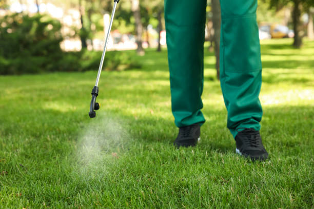 Best Affordable Pest Control Services  in Farmington, UT