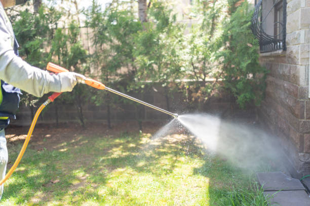 Best Pest Removal Services  in Farmington, UT