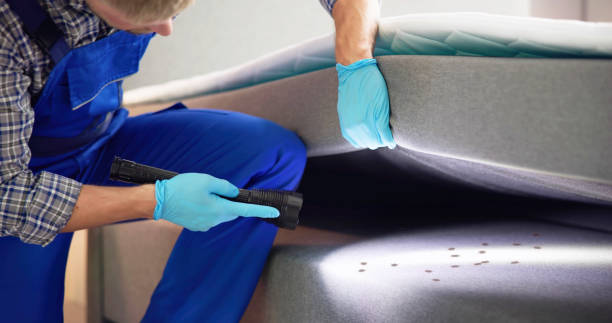 Best Pest Control Treatment  in Farmington, UT