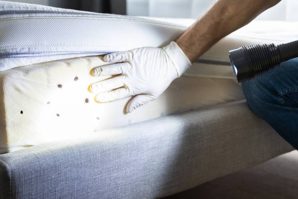 Best Cockroach Control Services  in Farmington, UT