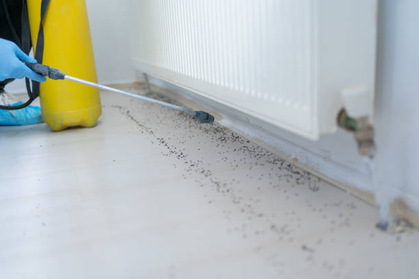 Best Local Pest Control Services  in Farmington, UT