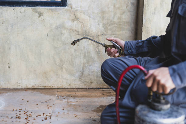 Best Pest Inspection Near Me  in Farmington, UT